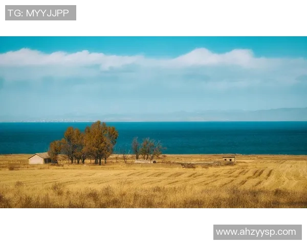 青海电视台直播精彩纷呈展现多彩文化与自然风光的魅力