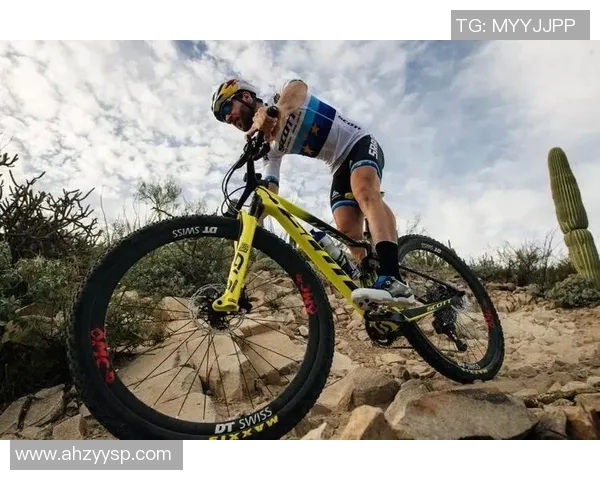 图森队与新英格兰队激战正酣谁能在这场对决中笑到最后